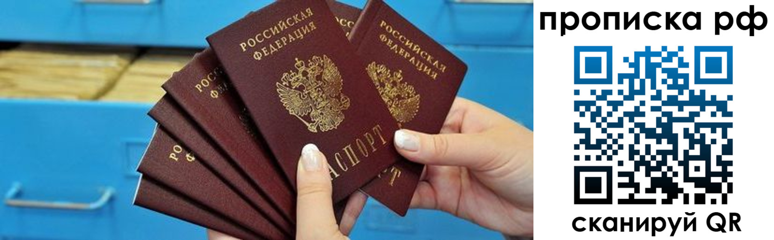 прописка поиск в Сураже